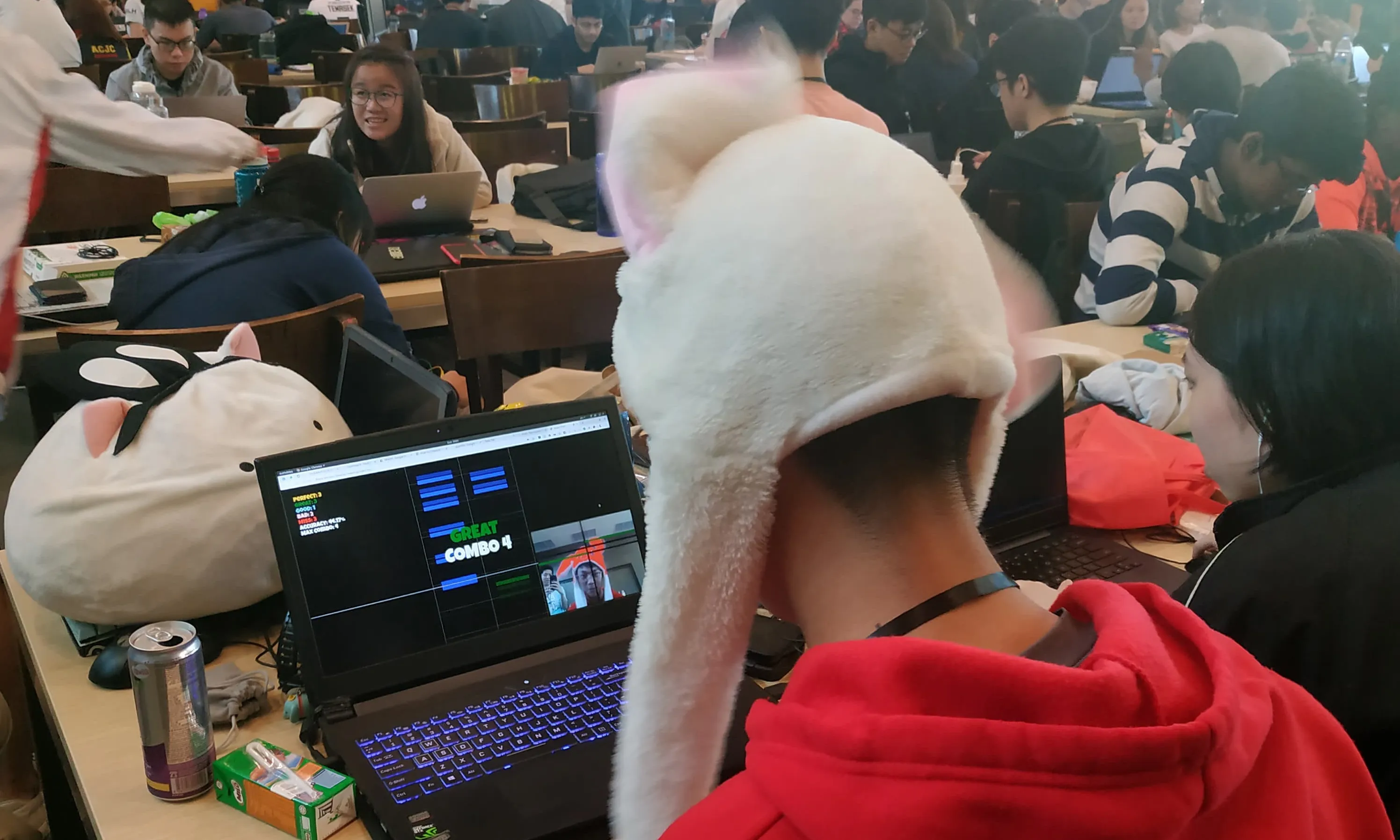 rabbitmania