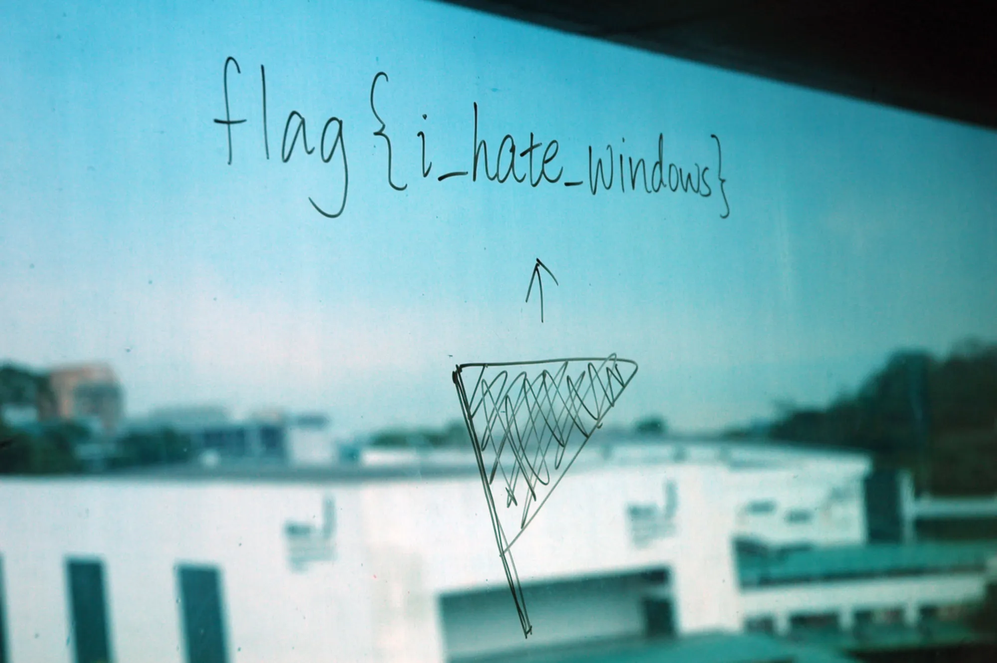 windows